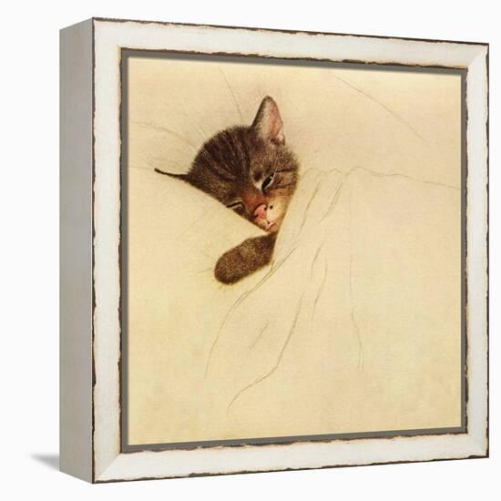 Sleep Like a Kitten-Guido Gruenwald-Framed Premier Image Canvas