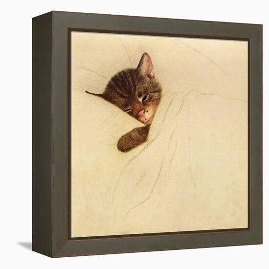 Sleep Like a Kitten-Guido Gruenwald-Framed Premier Image Canvas