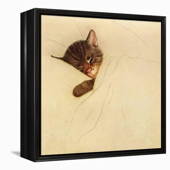 Sleep Like a Kitten-Guido Gruenwald-Framed Premier Image Canvas