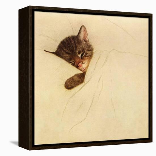 Sleep Like a Kitten-Guido Gruenwald-Framed Premier Image Canvas
