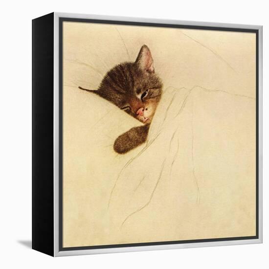 Sleep Like a Kitten-Guido Gruenwald-Framed Premier Image Canvas