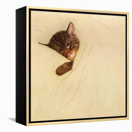 Sleep Like a Kitten-Guido Gruenwald-Framed Premier Image Canvas