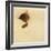 Sleep Like a Kitten-Guido Gruenwald-Framed Giclee Print