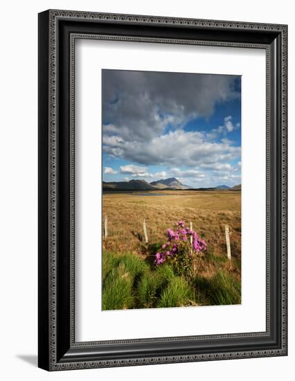 Sleep Sound-Philippe Sainte-Laudy-Framed Photographic Print