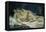 Sleep-Gustave Courbet-Framed Premier Image Canvas