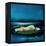 Sleep-Nancy Tillman-Framed Stretched Canvas