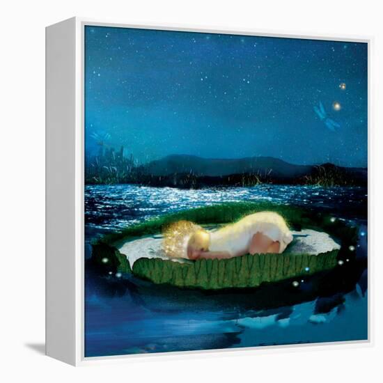 Sleep-Nancy Tillman-Framed Stretched Canvas