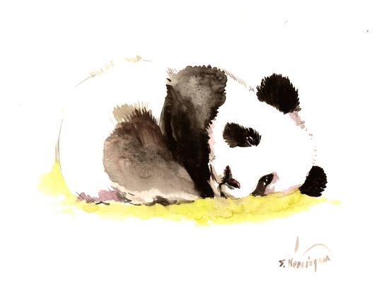 Sleeping Baby Panda Art Print Suren Nersisyan Art Com Sleeping Baby Panda Art Print Suren Nersisyan Art Com