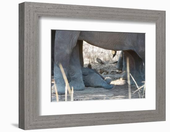 Sleeping Baby-Scott Bennion-Framed Photo