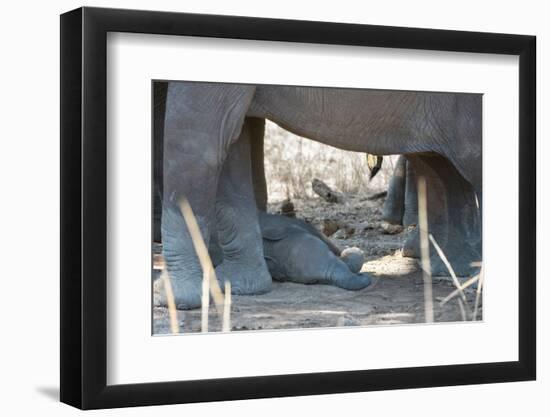 Sleeping Baby-Scott Bennion-Framed Photo