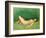 Sleeping Bather-Félix Vallotton-Framed Giclee Print