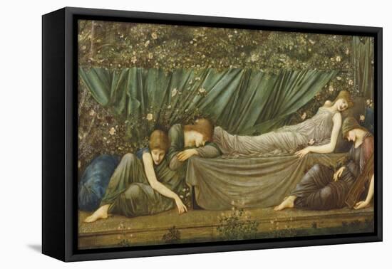 Sleeping Beauty, Illustration from 'The Legend of the Briar Rose', 1871-72-Edward Burne-Jones-Framed Premier Image Canvas