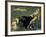 Sleeping Beauty-Konrad Dielitz-Framed Giclee Print