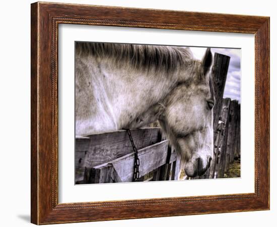 Sleeping Beauty-Stephen Arens-Framed Photographic Print