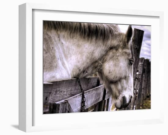 Sleeping Beauty-Stephen Arens-Framed Photographic Print