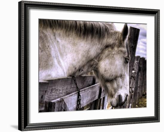 Sleeping Beauty-Stephen Arens-Framed Photographic Print