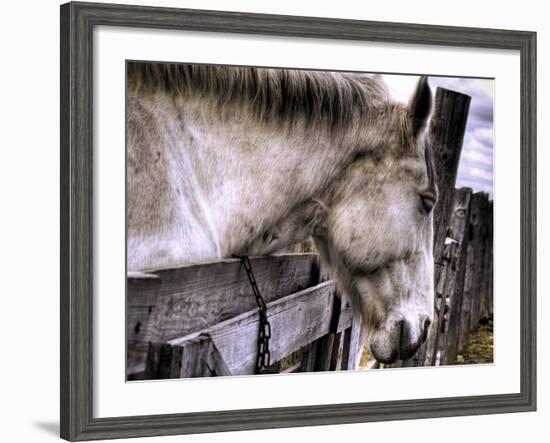 Sleeping Beauty-Stephen Arens-Framed Photographic Print