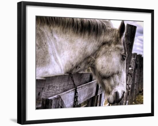 Sleeping Beauty-Stephen Arens-Framed Photographic Print