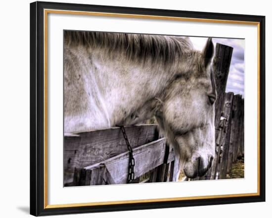 Sleeping Beauty-Stephen Arens-Framed Photographic Print