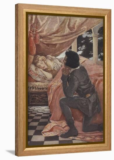 Sleeping Beauty-Jessie Willcox-Smith-Framed Premier Image Canvas