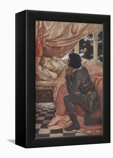 Sleeping Beauty-Jessie Willcox-Smith-Framed Premier Image Canvas