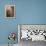 Sleeping Beauty-Judy Mastrangelo-Framed Premier Image Canvas displayed on a wall
