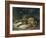 Sleeping Bloodhound-Edwin Henry Landseer-Framed Giclee Print