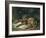 Sleeping Bloodhound-Edwin Henry Landseer-Framed Giclee Print