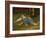 Sleeping Boy in the Hay, 1891-97-Albert Anker-Framed Giclee Print