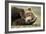 Sleeping Brown Bear, Katmai National Park, Alaska-null-Framed Photographic Print