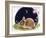 Sleeping Bunny-Judy Mastrangelo-Framed Giclee Print