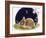 Sleeping Bunny-Judy Mastrangelo-Framed Giclee Print