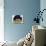 Sleeping Bunny-Judy Mastrangelo-Mounted Giclee Print displayed on a wall