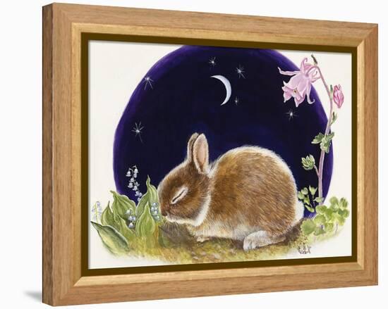 Sleeping Bunny-Judy Mastrangelo-Framed Premier Image Canvas