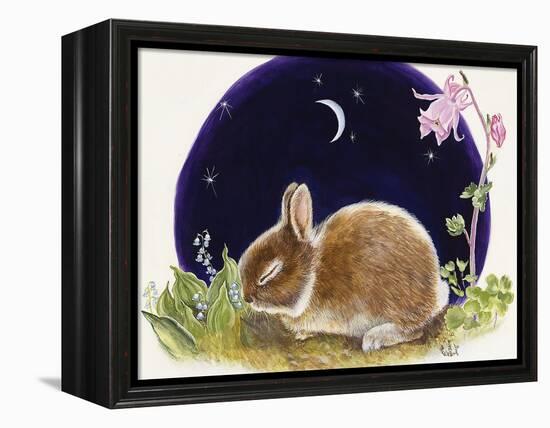 Sleeping Bunny-Judy Mastrangelo-Framed Premier Image Canvas