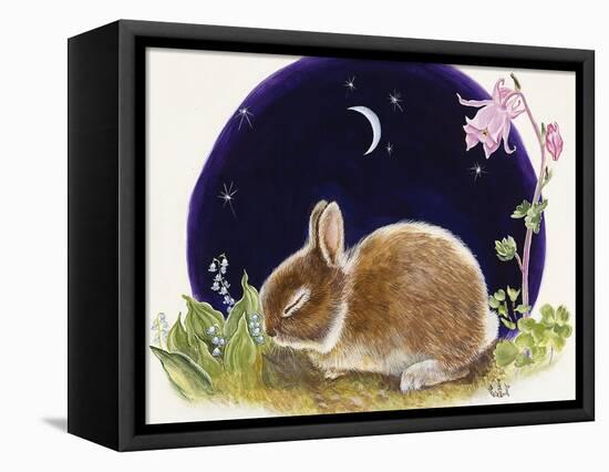 Sleeping Bunny-Judy Mastrangelo-Framed Premier Image Canvas