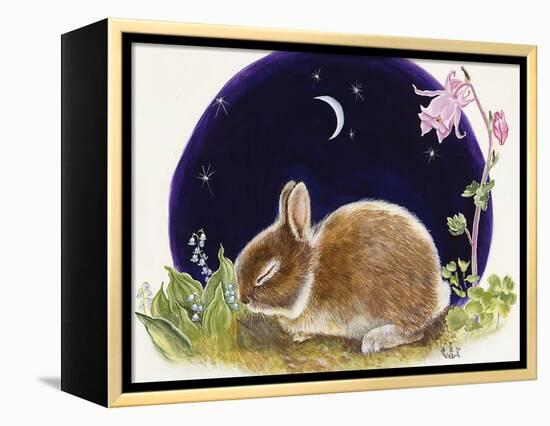 Sleeping Bunny-Judy Mastrangelo-Framed Premier Image Canvas