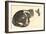 Sleeping cat, 1984-Claudia Hutchins-Puechavy-Framed Giclee Print