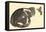 Sleeping cat, 1984-Claudia Hutchins-Puechavy-Framed Premier Image Canvas