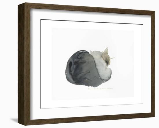 Sleeping cat, 1985-Claudia Hutchins-Puechavy-Framed Giclee Print