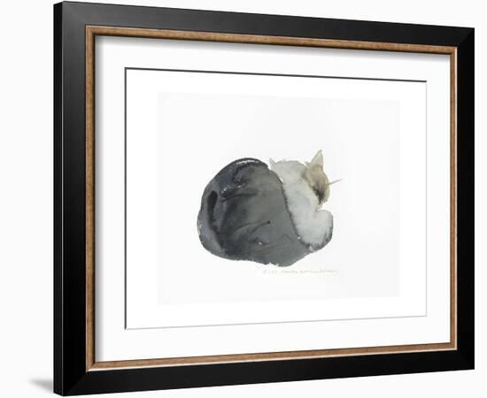 Sleeping cat, 1985-Claudia Hutchins-Puechavy-Framed Giclee Print