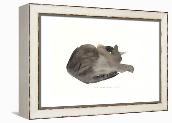 Sleeping cat, 1985-Claudia Hutchins-Puechavy-Framed Premier Image Canvas