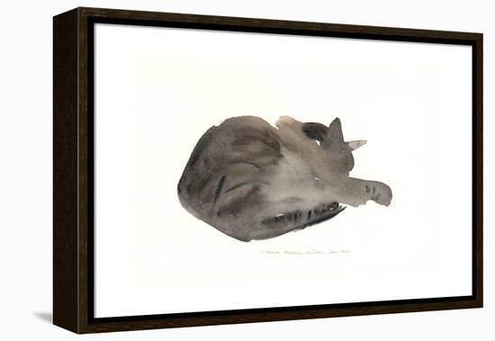 Sleeping cat, 1985-Claudia Hutchins-Puechavy-Framed Premier Image Canvas