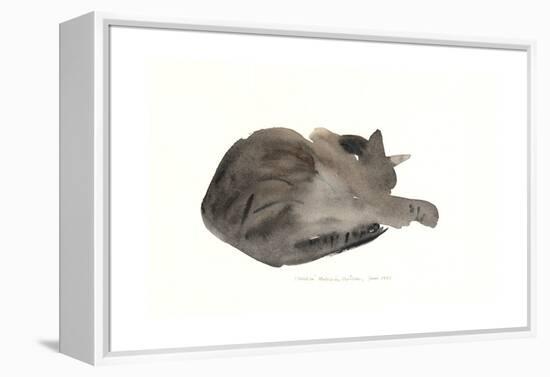 Sleeping cat, 1985-Claudia Hutchins-Puechavy-Framed Premier Image Canvas