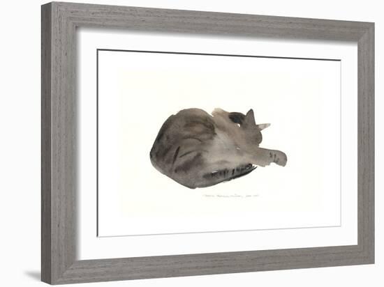 Sleeping cat, 1985-Claudia Hutchins-Puechavy-Framed Giclee Print