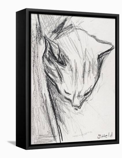 Sleeping Cat, 2015-Julie Held-Framed Premier Image Canvas