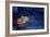 Sleeping Couple, 1997-Julie Held-Framed Giclee Print