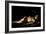 Sleeping Cupid, 1608-Caravaggio-Framed Giclee Print