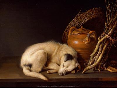 Sleeping Dog, 1650' Art Print - Gerrit 