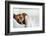 Sleeping Dog-Javier Brosch-Framed Photographic Print